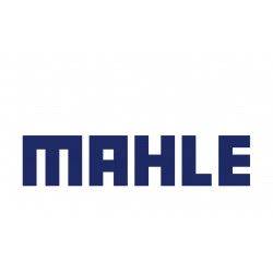 037AS21910000 MAHLE Полукольца упорные к-т Volvo (21948261)