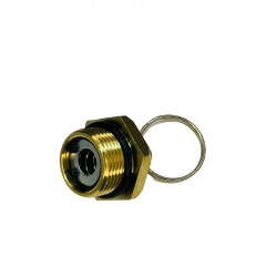 934 300 003 0 BRASS FITTINGS Клапан сброса конденсата (с кольцом)
