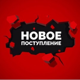 Амортизаторы кабины BERGKAU для DAF 2268499 (левый) и 2268500 (правый) в наличии!